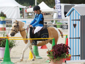 フランス定番の子供の習い事は？ 日本では珍しい“乗馬”が堂々の1位