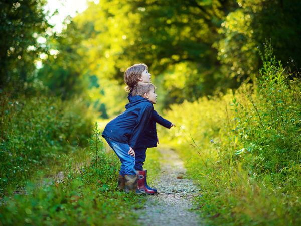 子供に生きる力を与える! C.W.ニコルさんが教えてくれた「森とのふれあい方」