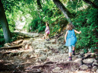 都会からの移住が増加中？ 自然の中で子供を育てる「森のようちえん」の取り組み