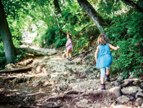 都会からの移住が増加中？ 自然の中で子供を育てる「森のようちえん」の取り組み