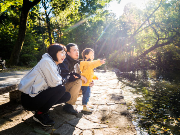 親子キャンプで何をする? 自然を体験できるアクティビティ8つ