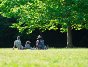 子供に「ぼーっとする時間」が必要な理由とは？ 忙しすぎる子には教育虐待のリスクも