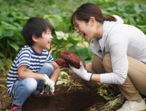 農作業経験の有無でこんなに違う!? 子供の脳波と描画からわかった自然体験の重要性
