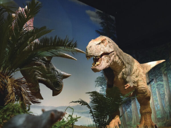 家族でお出かけ! 子供から大人まで、好奇心が芽生える「自然教育」体験スポット5選