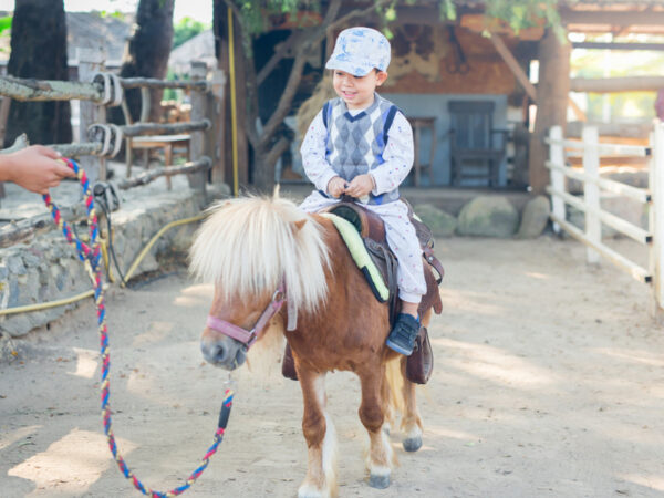 2022年に子供とチャレンジしたいことは? ものづくり&アウトドア体験ランキング