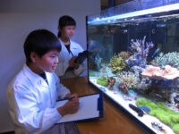 【期間限定】キッザニアであこがれの研究員＆開発者に！ お仕事体験から学ぶ環境問題