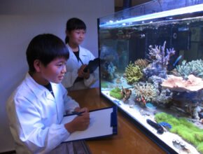 【期間限定】キッザニアであこがれの研究員＆開発者に！ お仕事体験から学ぶ環境問題