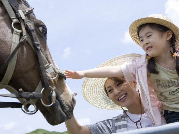 【0~6歳におすすめ】子供に成功体験を! りんどう湖ファミリー牧場の企画が面白い!