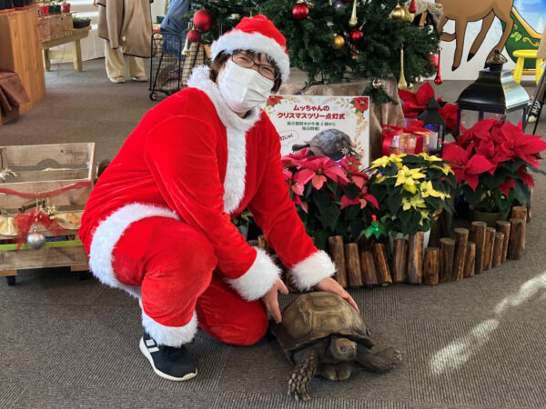 可愛いリクガメやジャングル探検も! 親子で楽しめる植物館のクリスマスイベントって?