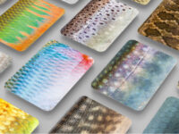 お魚好きっ子必見！ 見た目も触感も超リアルな『さかなかるた 淡水魚版』先行販売中