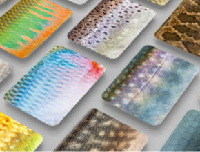 お魚好きっ子必見！ 見た目も触感も超リアルな『さかなかるた 淡水魚版』先行販売中