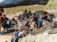 「本物の恐竜化石を発掘できる博物館」や「長期キャンプ」など、世界の最新教育事情7選