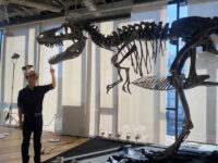 【イベントレポート】超貴重な全身骨格＆リアルさを徹底追求した「恐竜ミュージアム」