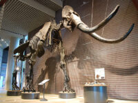 家族で行きたい！ 筑波の「楽しく学べる／体験できる」スポット5選＆おすすめホテル