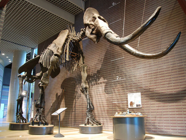 家族で行きたい! 筑波の「楽しく学べる/体験できる」スポット5選&おすすめホテル