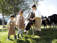 【2024夏】小学生向けサマープログラム8選！ 農業、自然、英語、文化を体験