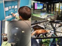 小学生が夢中になった「横浜の学び＆遊びスポット」4選｜住みたい街・横浜で子育てしてみた