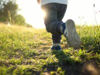 【3000人調査でわかった】幼児の運動習慣に影響を与える、親の3つの行動とは？