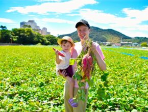 【2025年最新】全国のさつまいも掘りスポット6選！ 子どもと農業体験を楽しもう